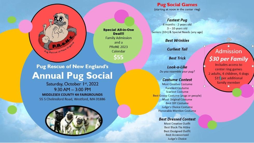 2022 Pug Rescue of New England Annual PUG SOCIAL