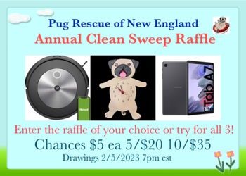 Annual Cleansweep Raffle