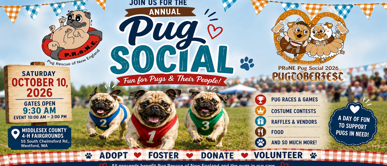 2026 Pug Social